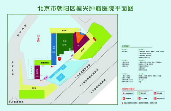 啊啊啊啊啊啊啊干我逼逼视频北京市朝阳区桓兴肿瘤医院平面图